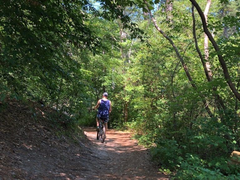 A glimpse of the biking trails in First Landing State Park.