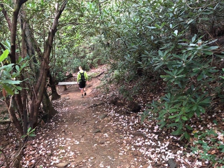 Crabtree Falls Loop Trail