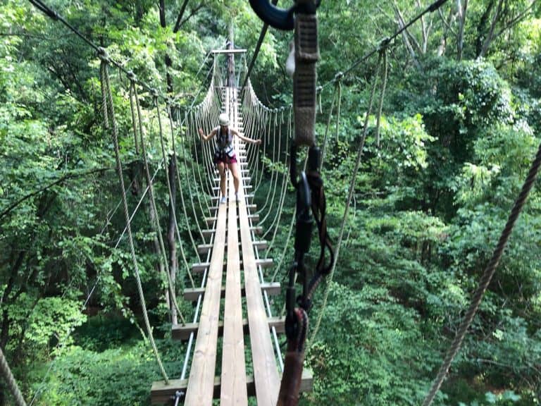 And high ropes courses!