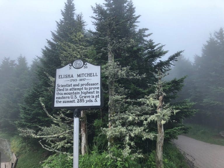 The beginning of the Mount Mitchell hike.