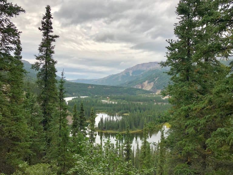 Horseshoe Lake Trail