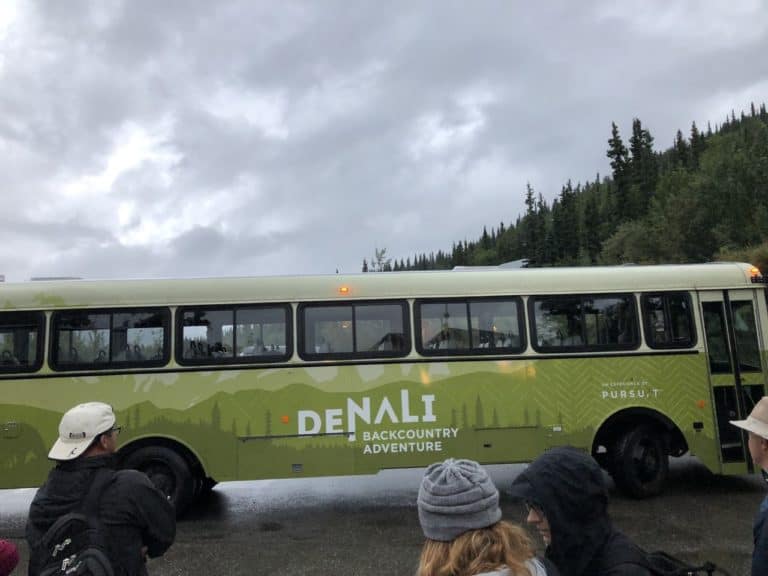 Denali Backcountry Adventure Bus Tour