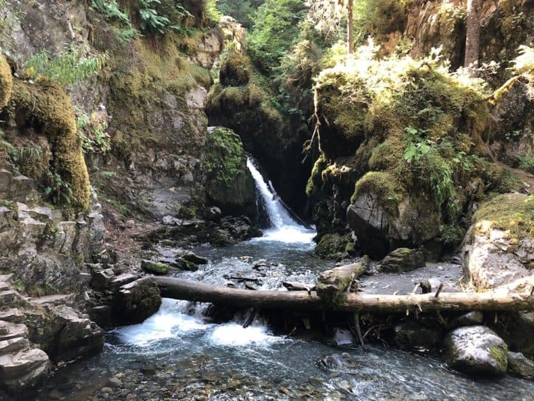 Virgin Creek Falls