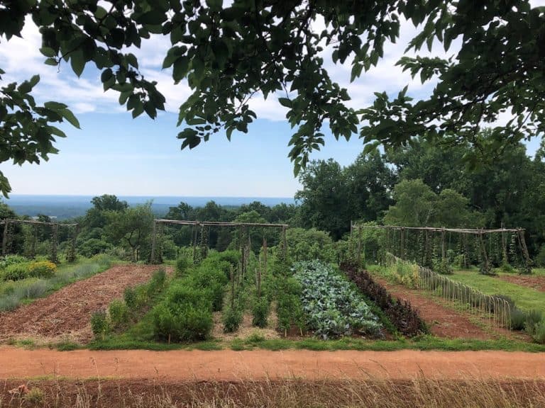 Gardens along Mulberry Row where slaves lived and worked.