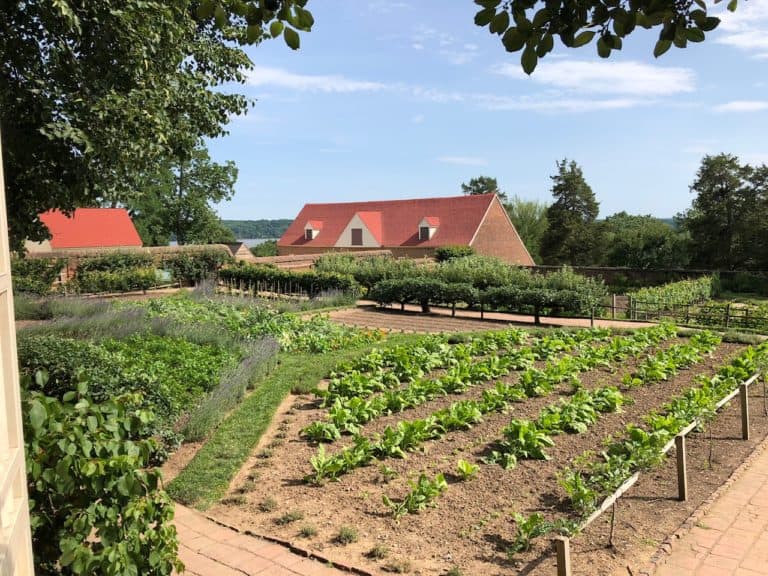 Gardens the slaves used to work in that are still kept up!