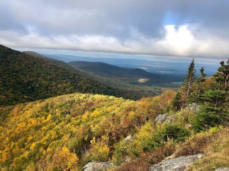 Let the leaf-peeping begin!