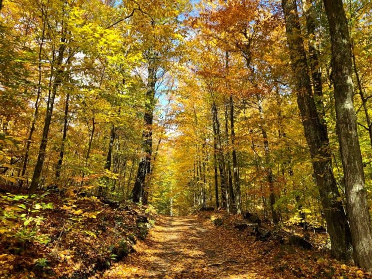 We enjoyed some great autumn colors on our drive!