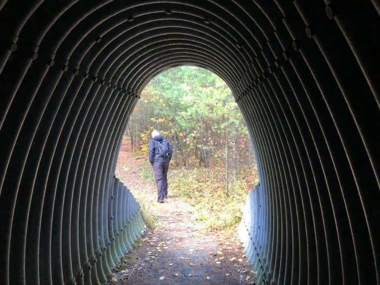 You hike under the highway at the start of the Mount Severance Trail.