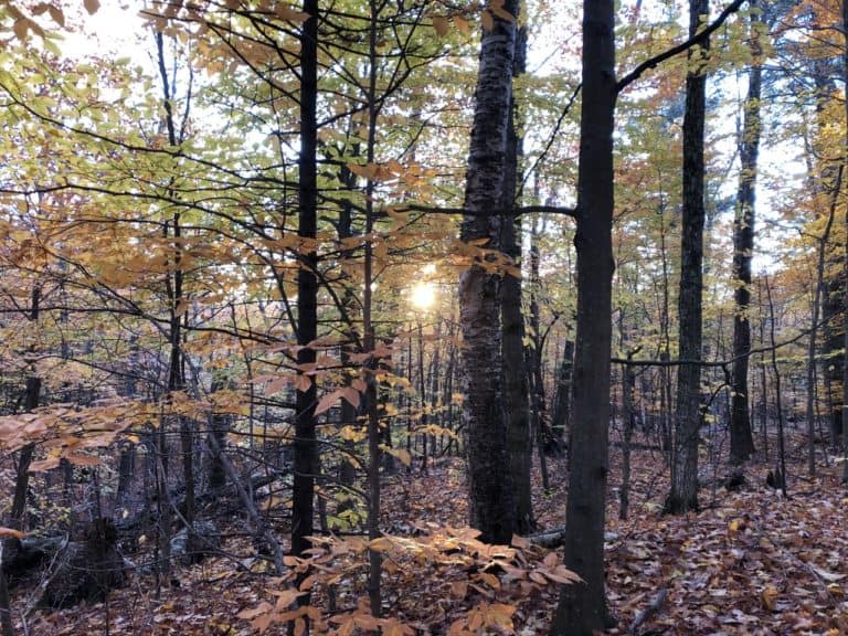 We enjoyed the sunrise through the fall colors on our hike up Whiteface.