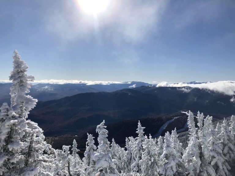 The flocked trees added nice contrast to the never ending lower mountains!