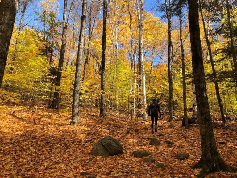 Enjoying a spectacular fall hike!