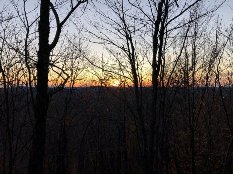 We enjoyed the remainder of the sunset through the trees on our hike down!