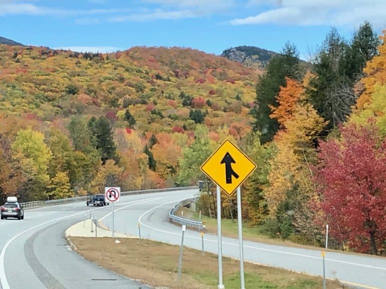 A glimpse at the autumn colors on our drive up!