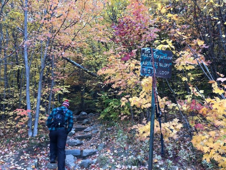 Artist Bluff Trailhead