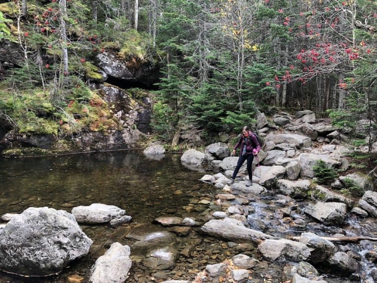 You definitely need to be intentional about your steps all the way up this trail.