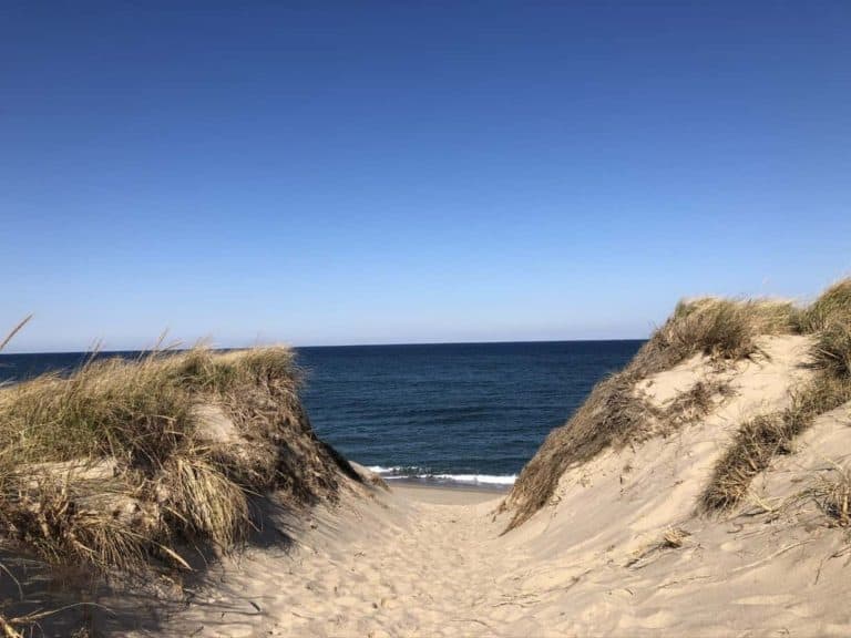 Cape Cod National Seashore!