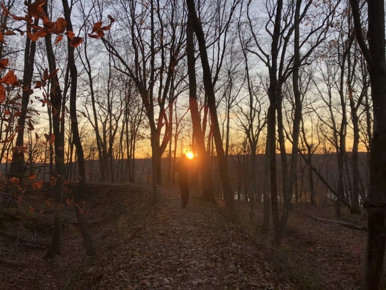 We ran the trails in order to get out of the park before it closed at sunset!