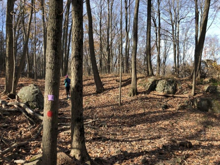 The violet trail returning to the parking lot is much flatter.