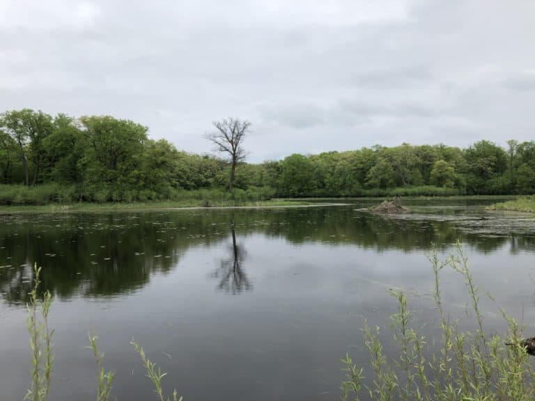 Hiking by peaceful lakes!