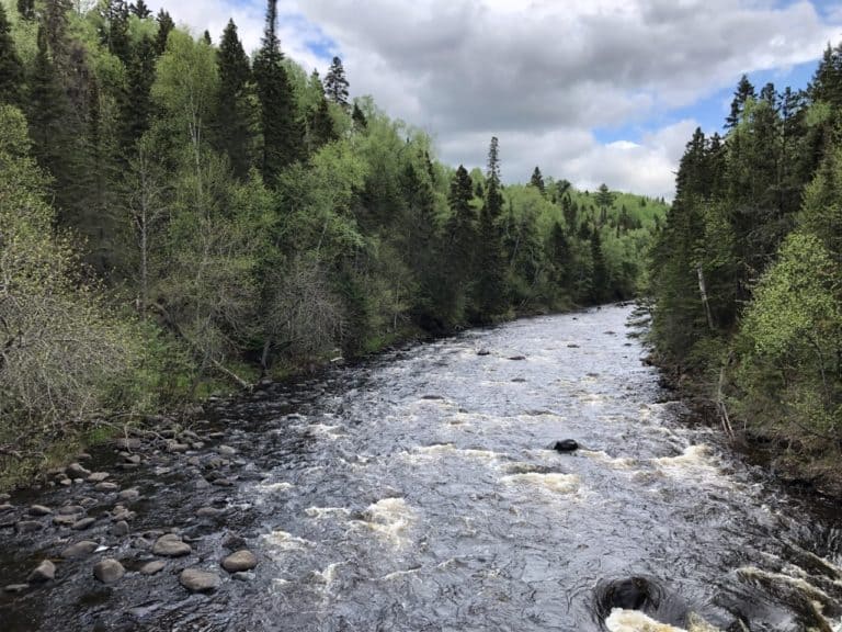 Cross the river to get to the trail!