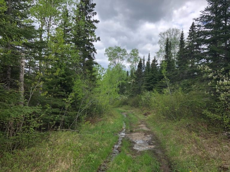 And here's the obscure path we took to the Mount Josephine Trail!