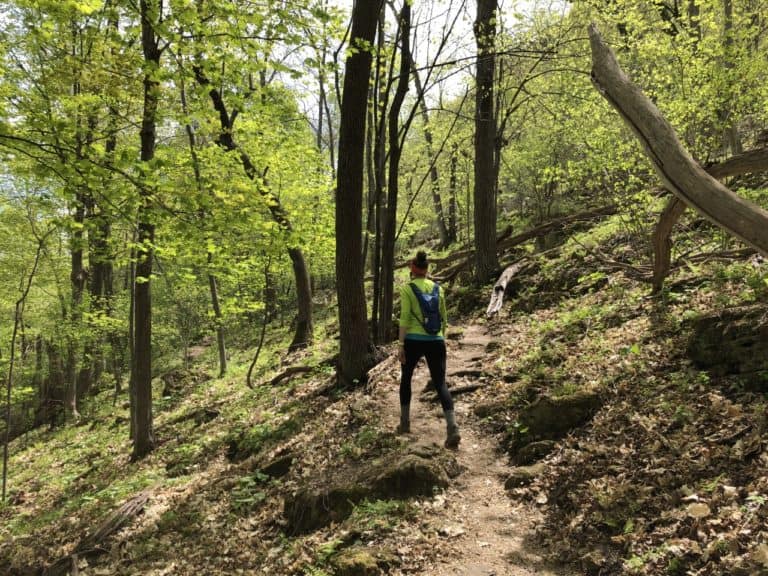 Part of the Lower Bluff Trail