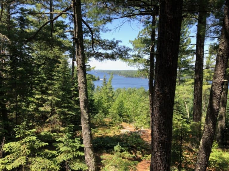 A glimpse of Kabetogama Lake!