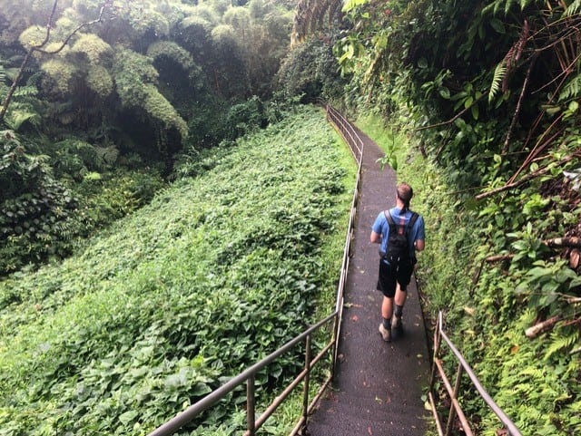 Strolling through the lush green jungle!