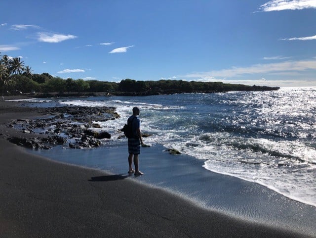 Spotting sea turtles!